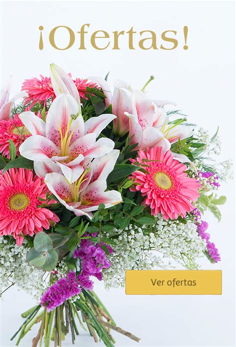 interflora jaen|Flores a domicilio en Alcalá la Real a domicilio .